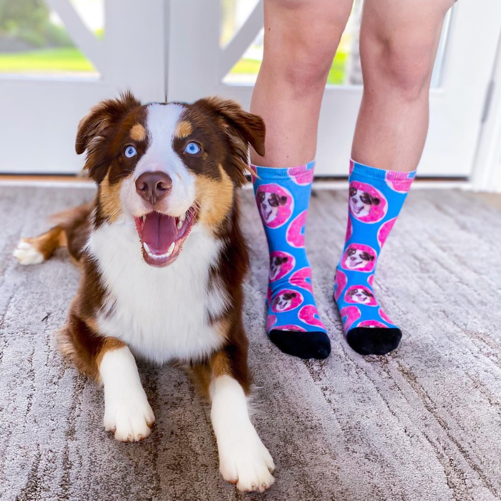 Custom Pet Socks Personalized Socks Petsies
