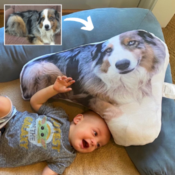 Print your pet pillow new arrivals