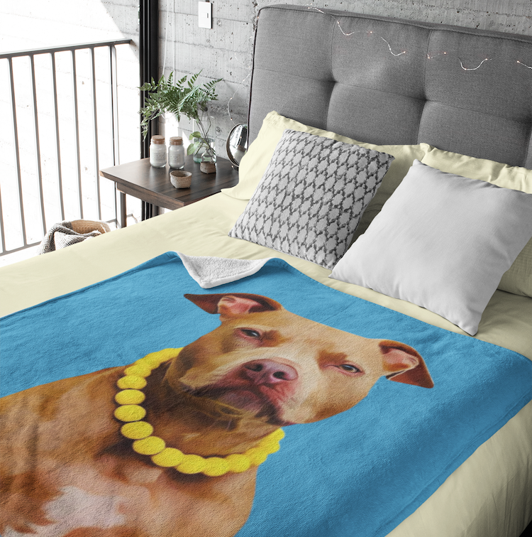 Picture of your dog on a blanket top