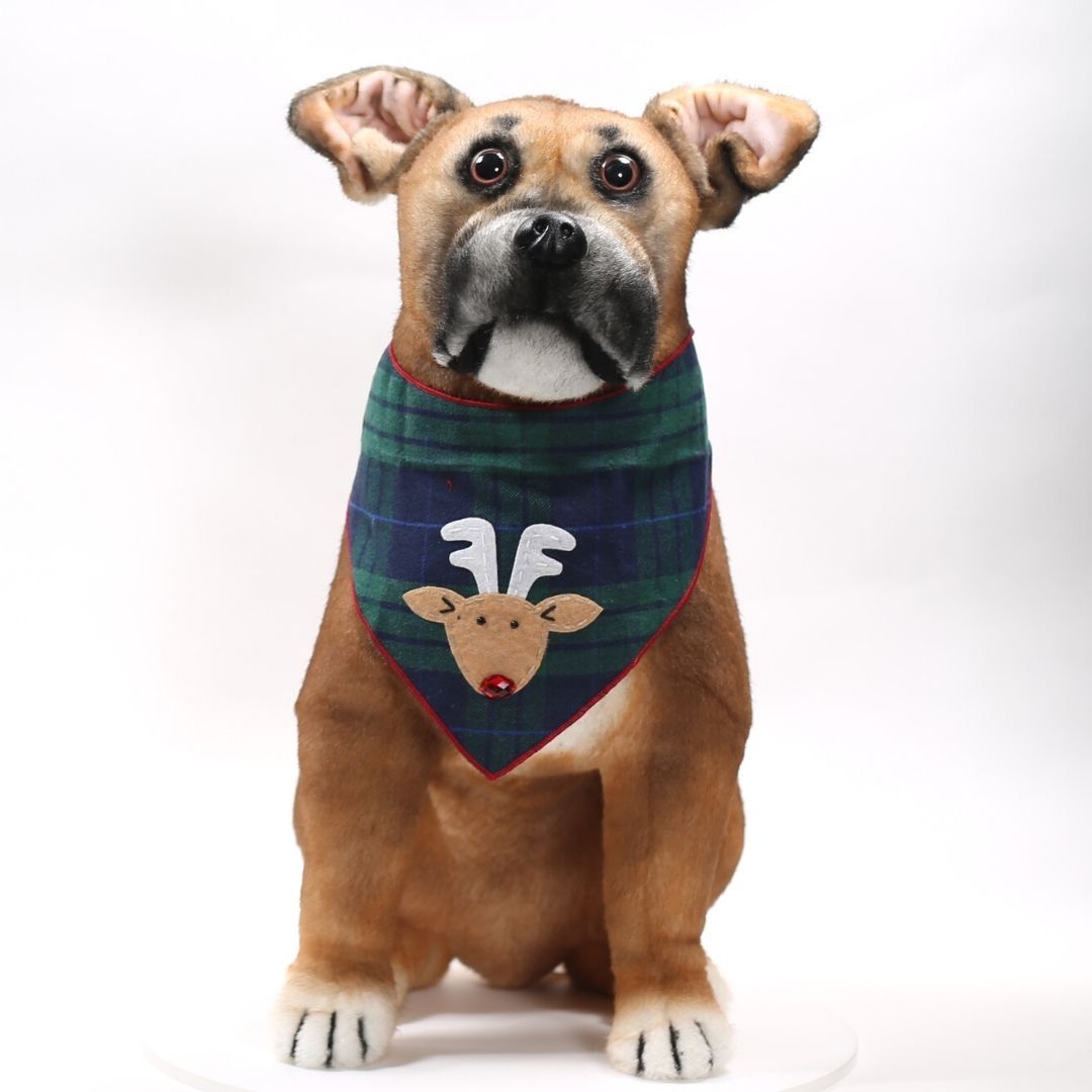 Christmas Holiday Reindeer Bandana