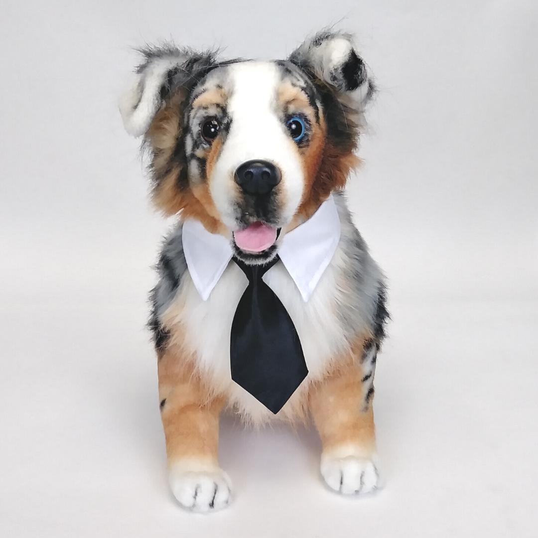 Formal Pet Tie