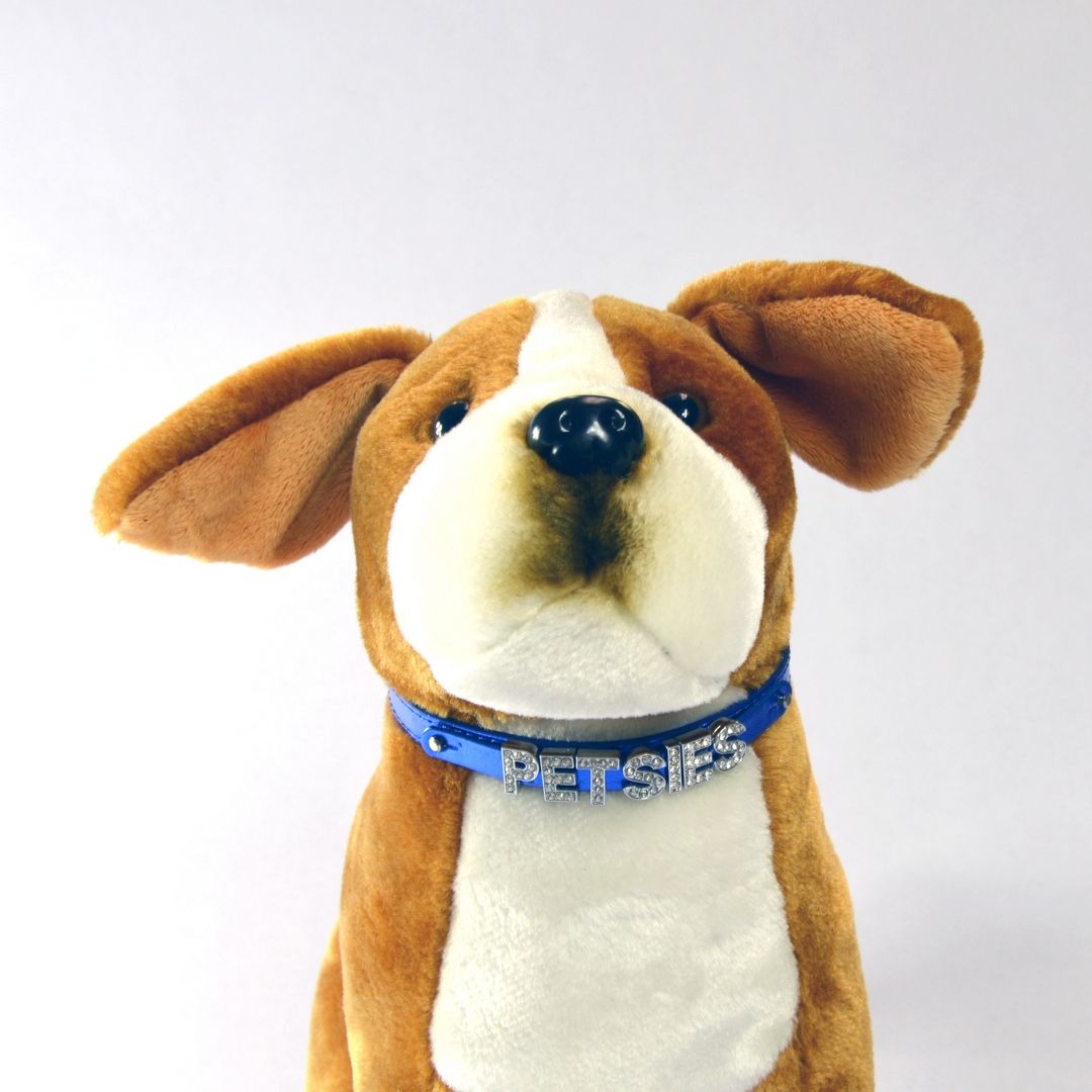 Custom Bling Collar
