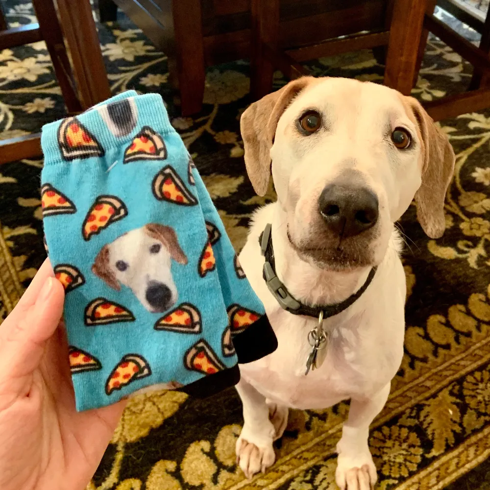Custom Pet Socks Personalized Socks Petsies