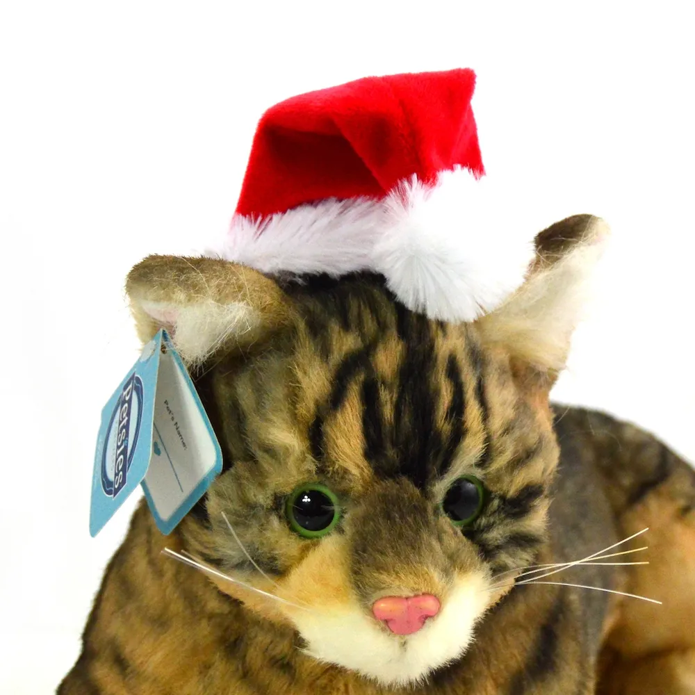 Santa Hat