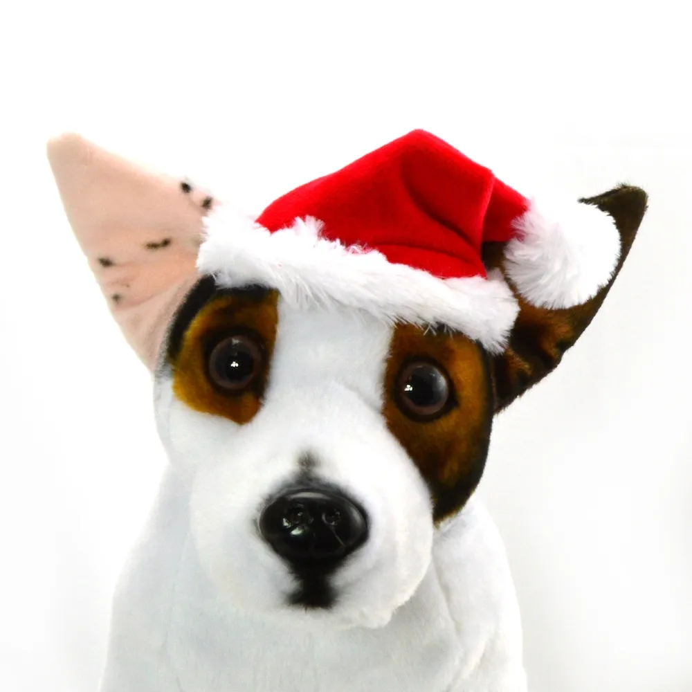 Santa Hat
