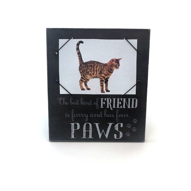 Select to view 'Black wooden frame featuring a realistic cat image and the quote 'The best kind of friend is furry and has four paws' in white text.' image