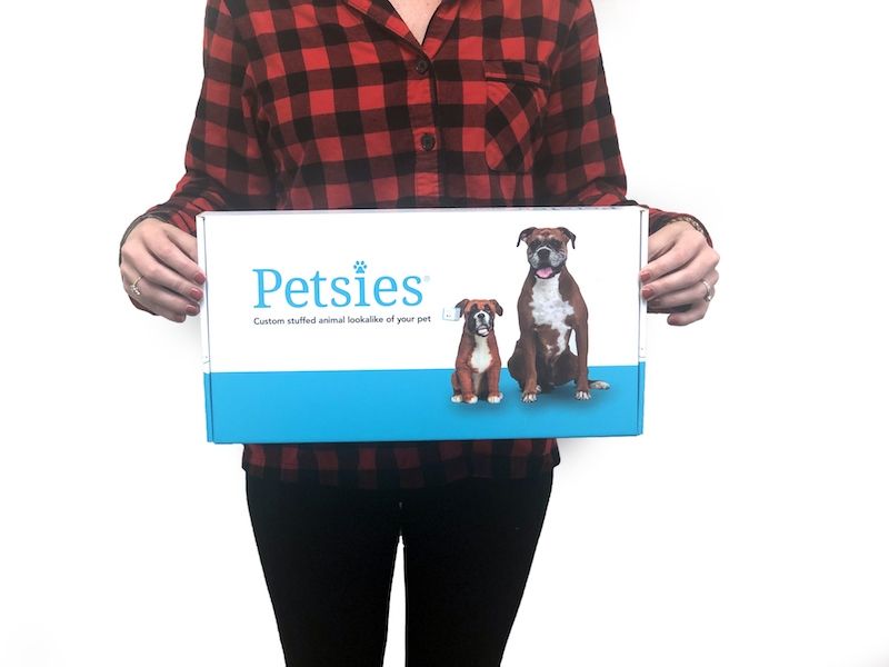 Select to view 'Person holding a Petsies branded gift box with blue and white design, featuring a custom stuffed dog and puppy illustration on front.' image