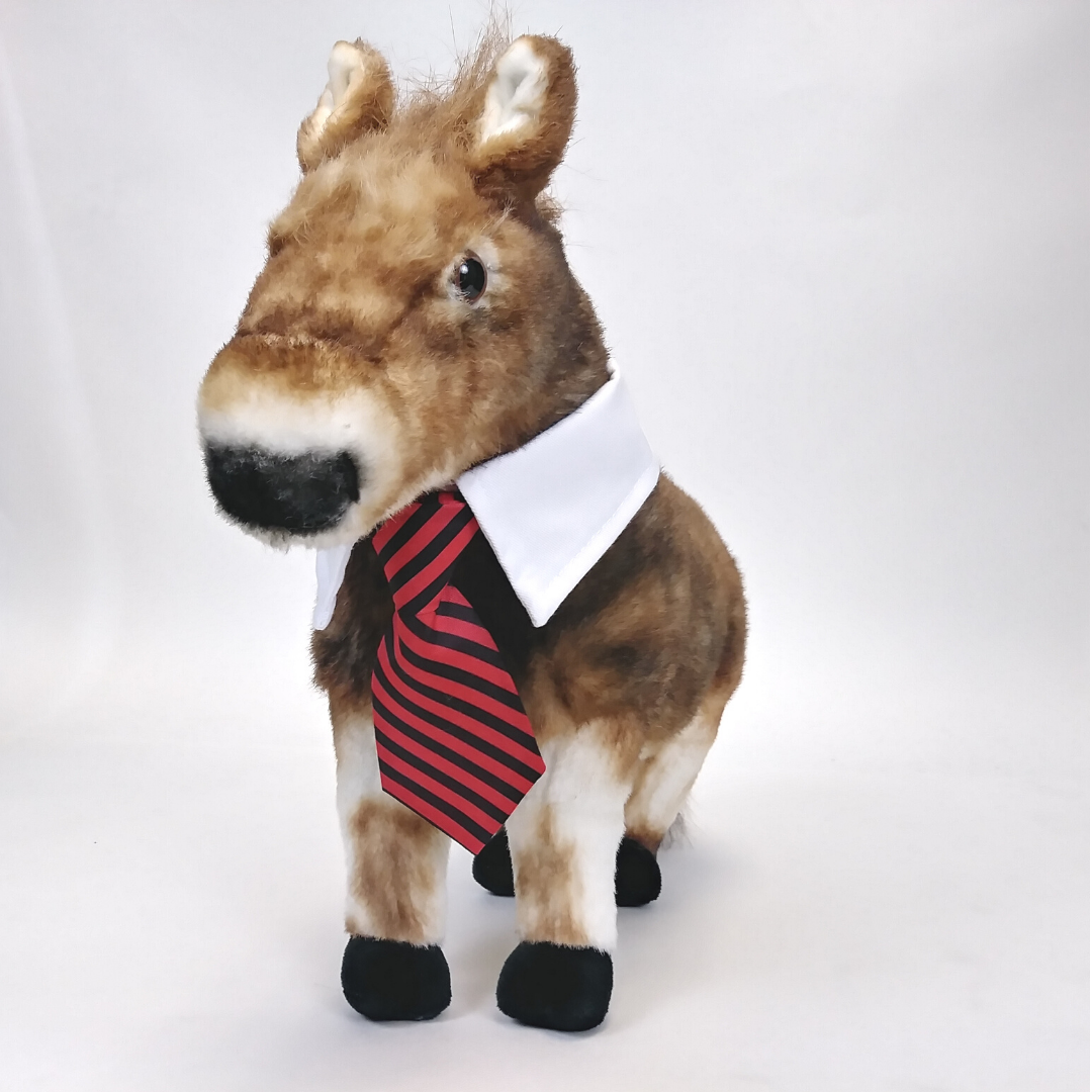 Formal Pet Tie