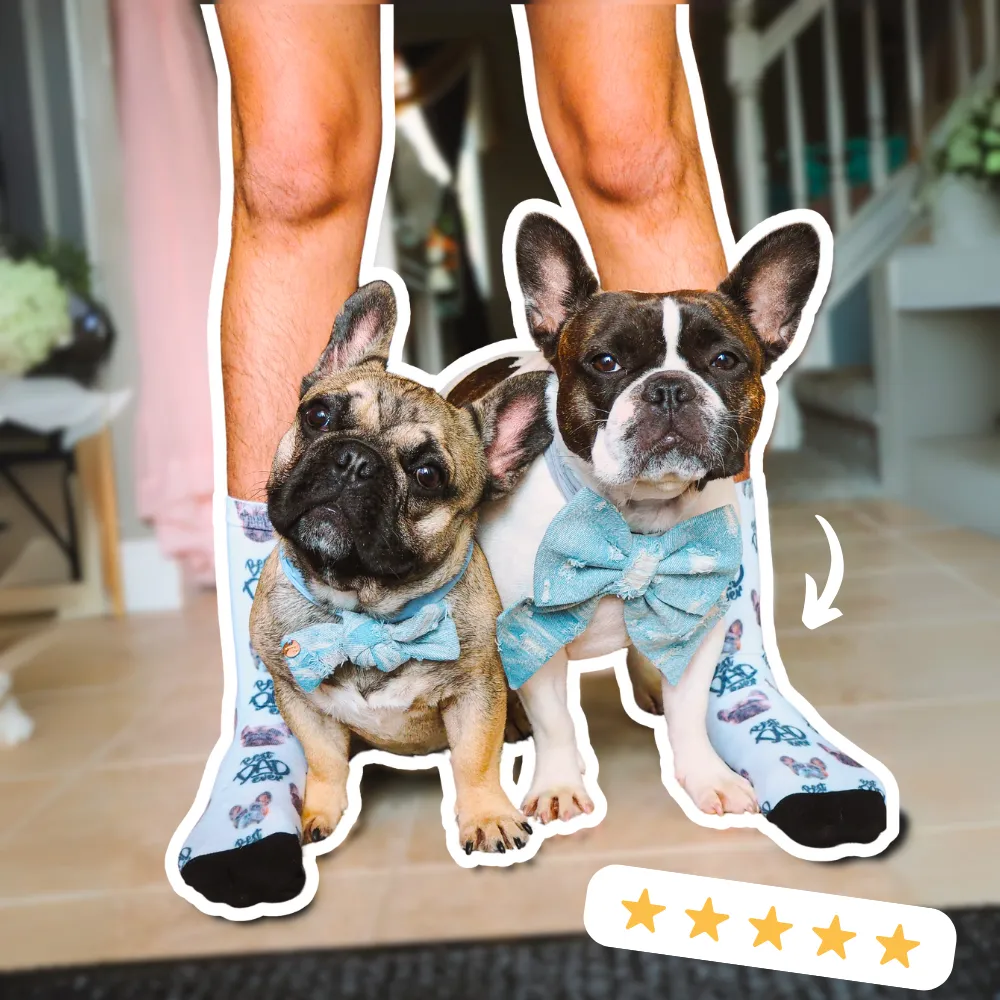 Select to view 'Custom Pet Socks' image