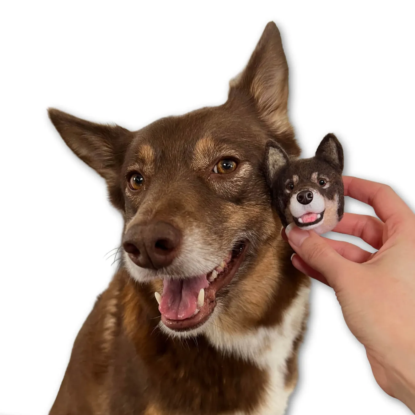 Select to view 'Felted Magnets of Your Pet' image