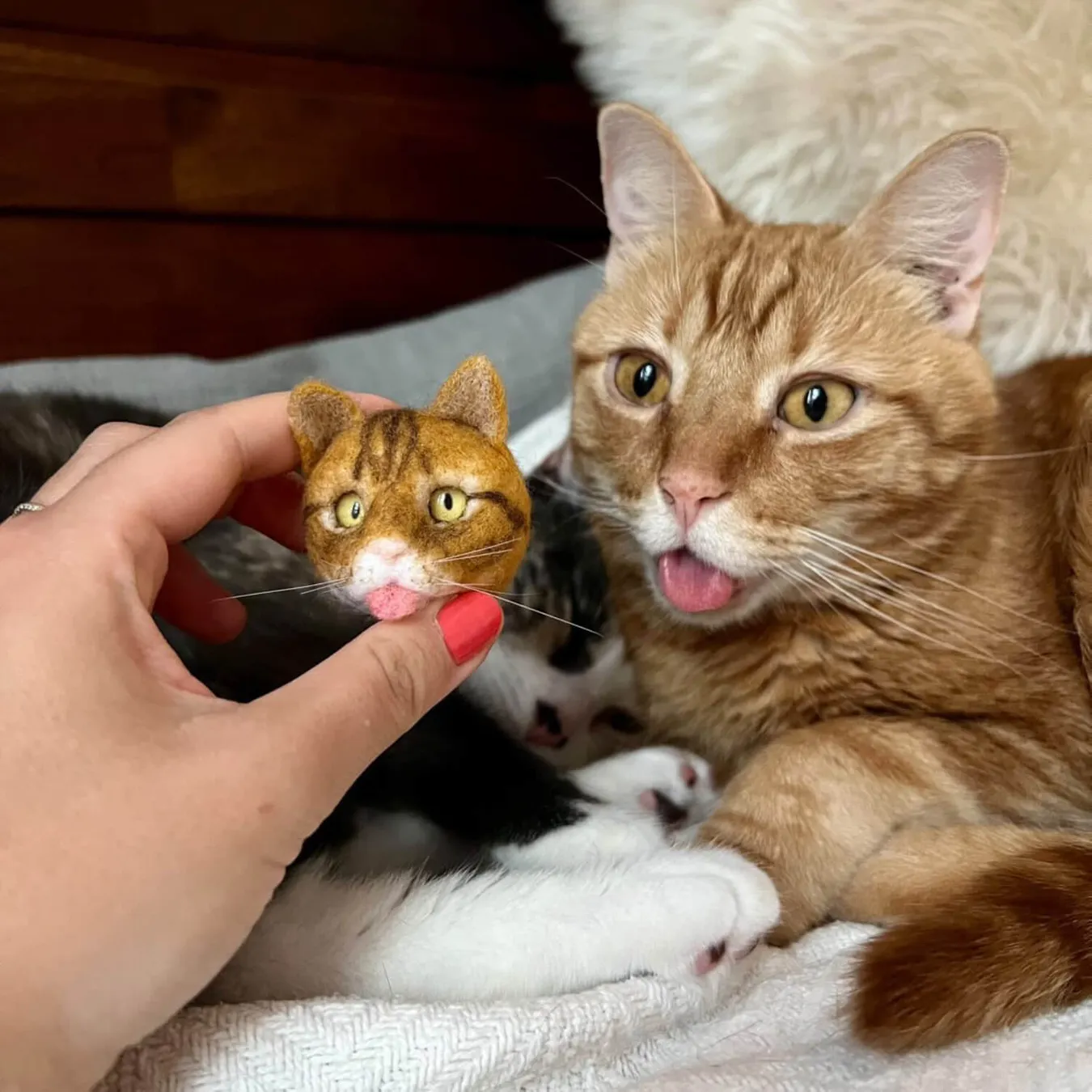 Select to view 'Felted Magnets of Your Pet' image
