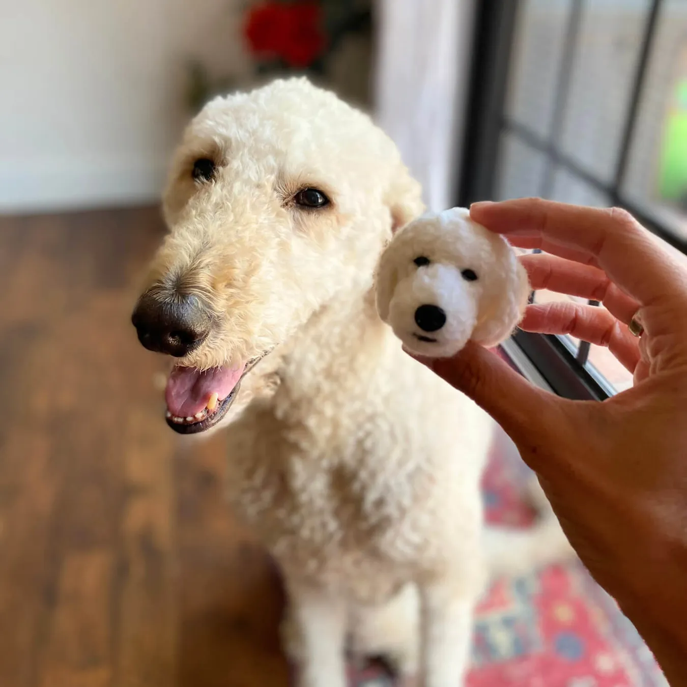 Select to view 'Felted Magnets of Your Pet' image