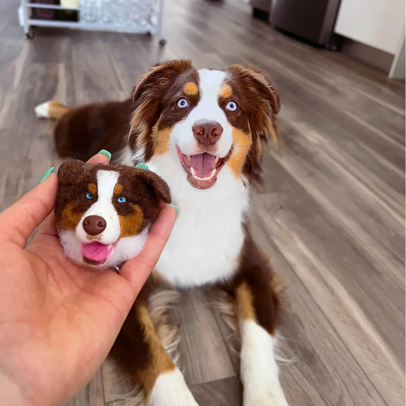 Select to view 'Felted Magnets of Your Pet' image