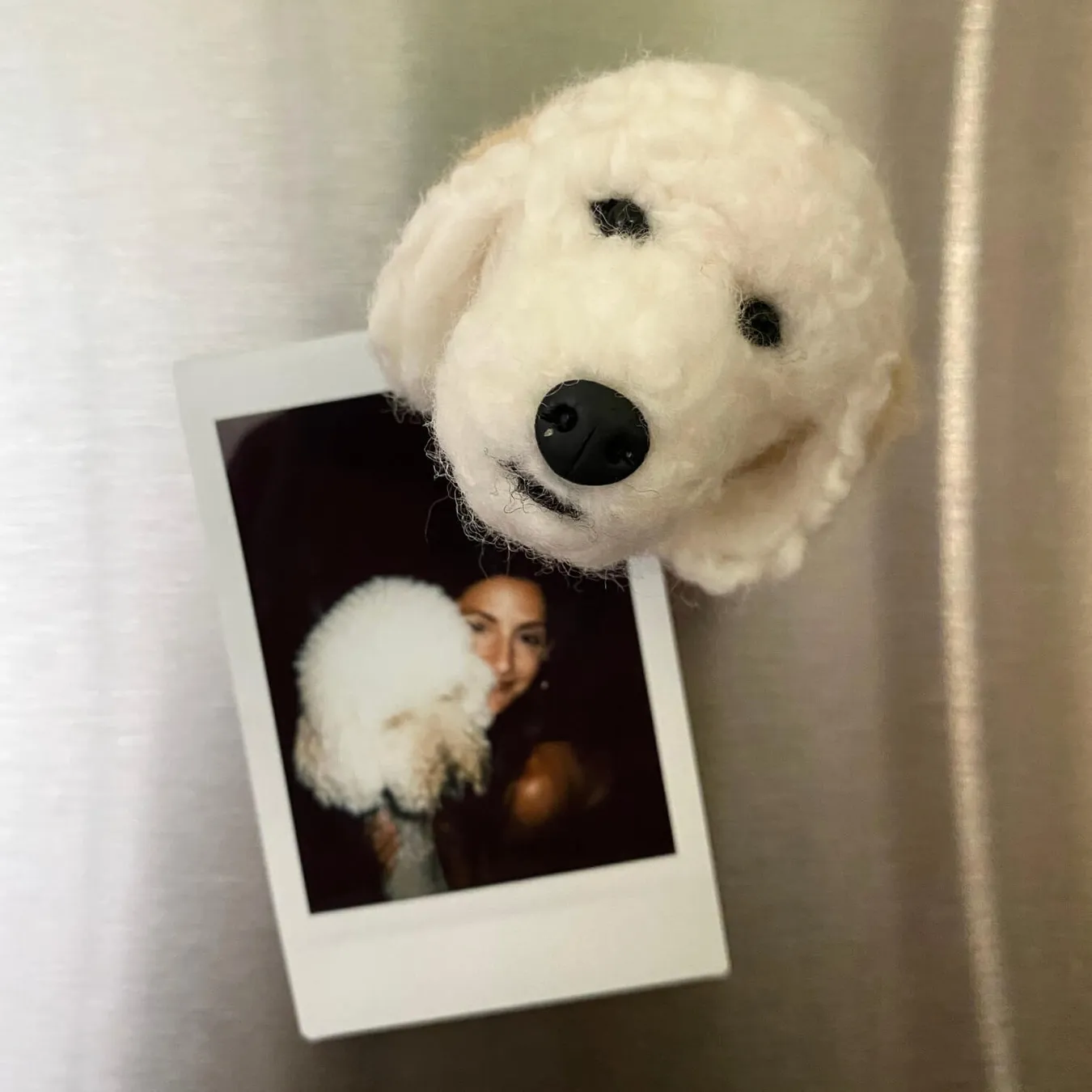 Select to view 'Felted Magnets of Your Pet' image