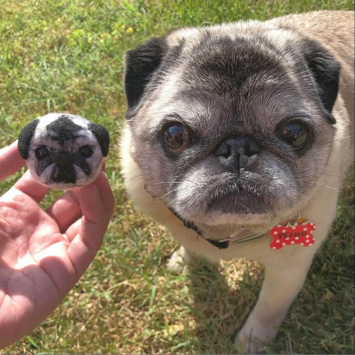 Select to view 'Felted Magnets of Your Pet' image