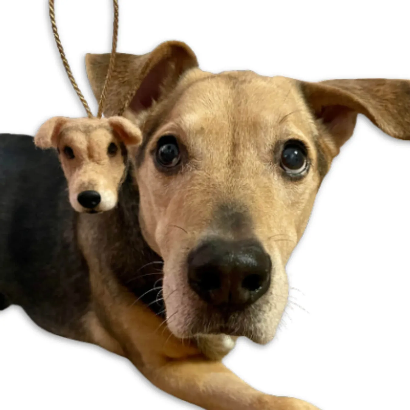 Select to view 'Felted Ornaments of Your Pet' image