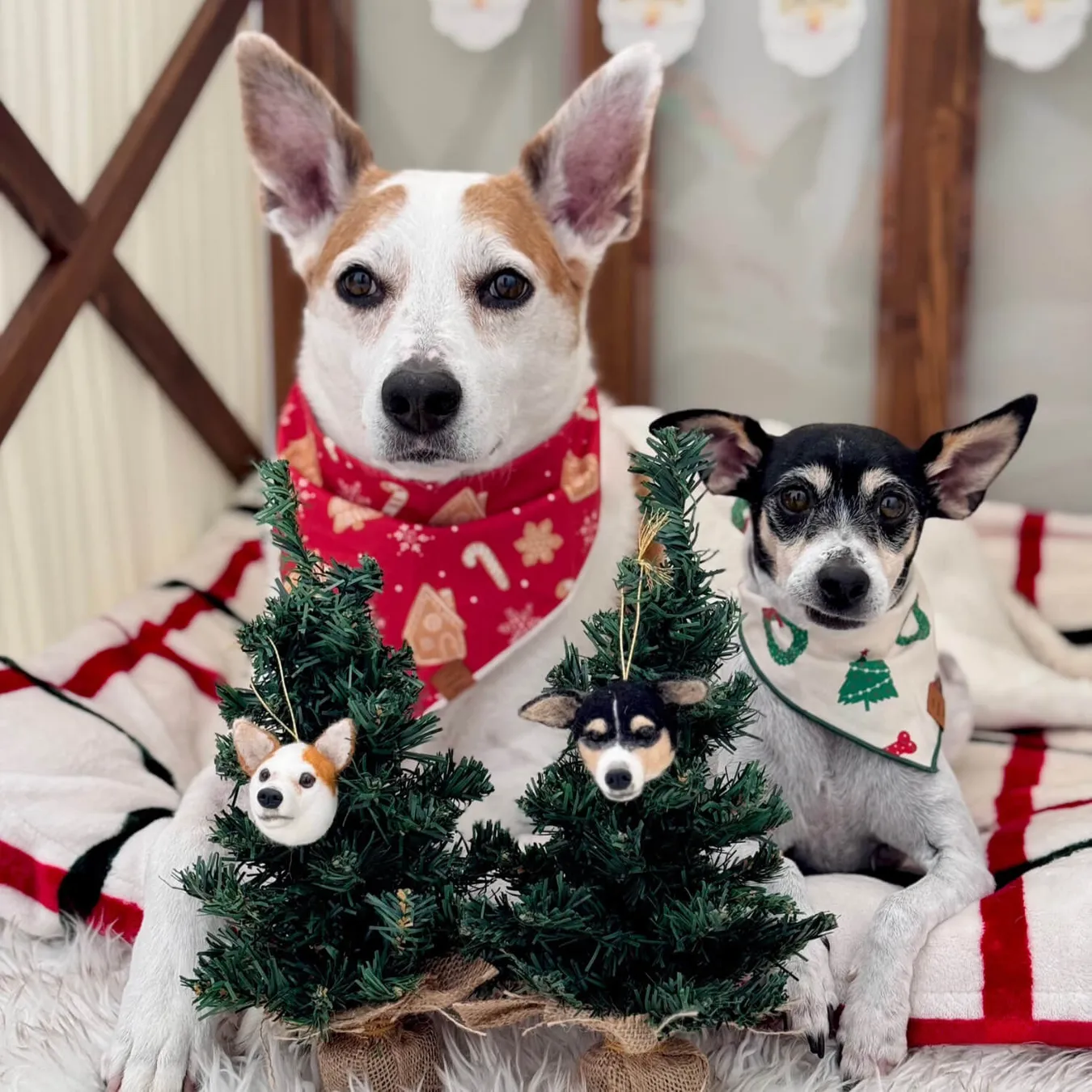 Select to view 'Felted Ornaments of Your Pet' image