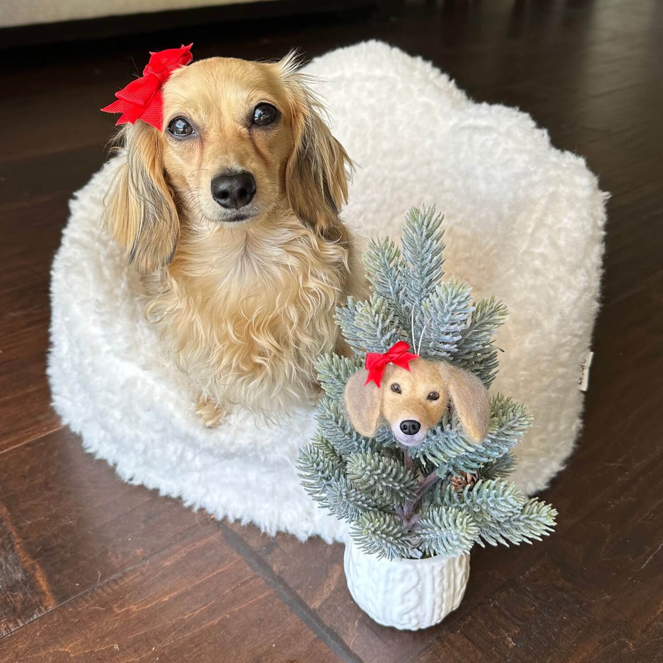 Select to view 'Felted Ornaments of Your Pet' image