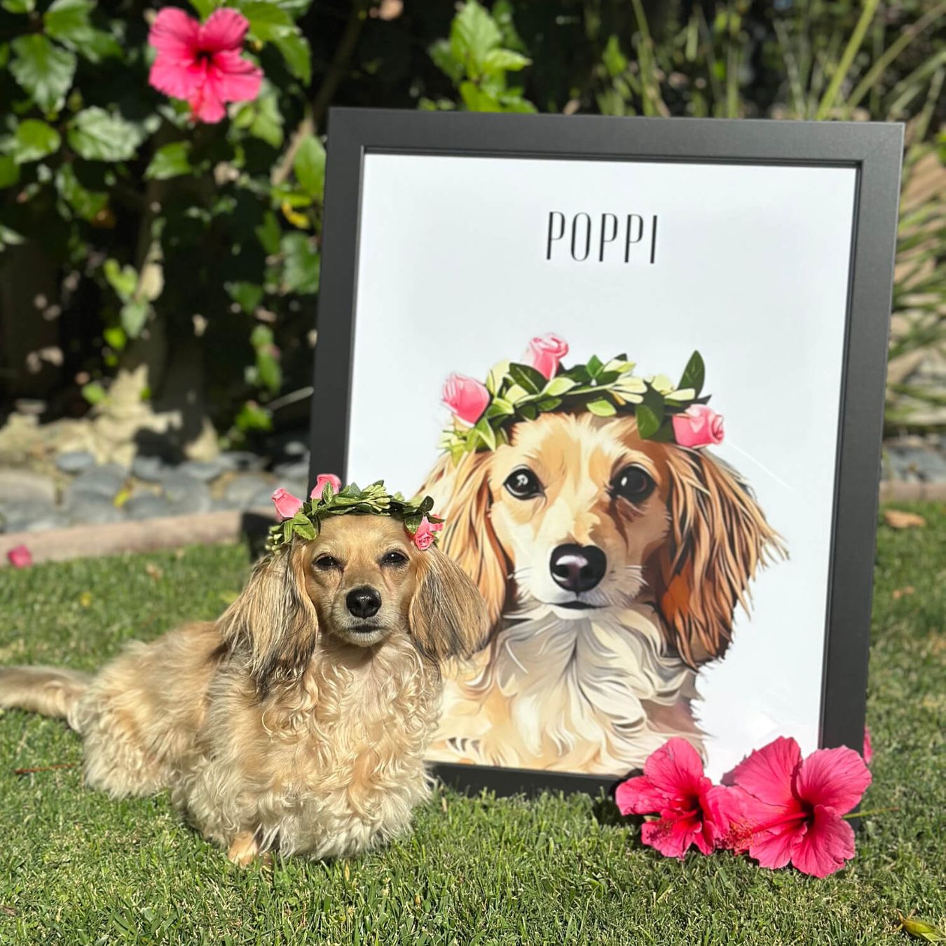 Select to view 'Custom Pet Portraits' image