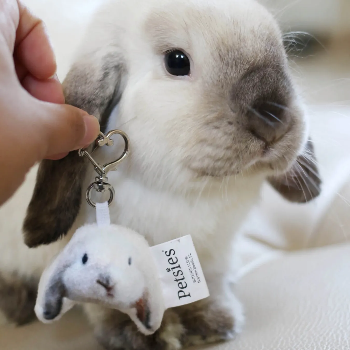 Select to view 'Custom Pet Keychains' image