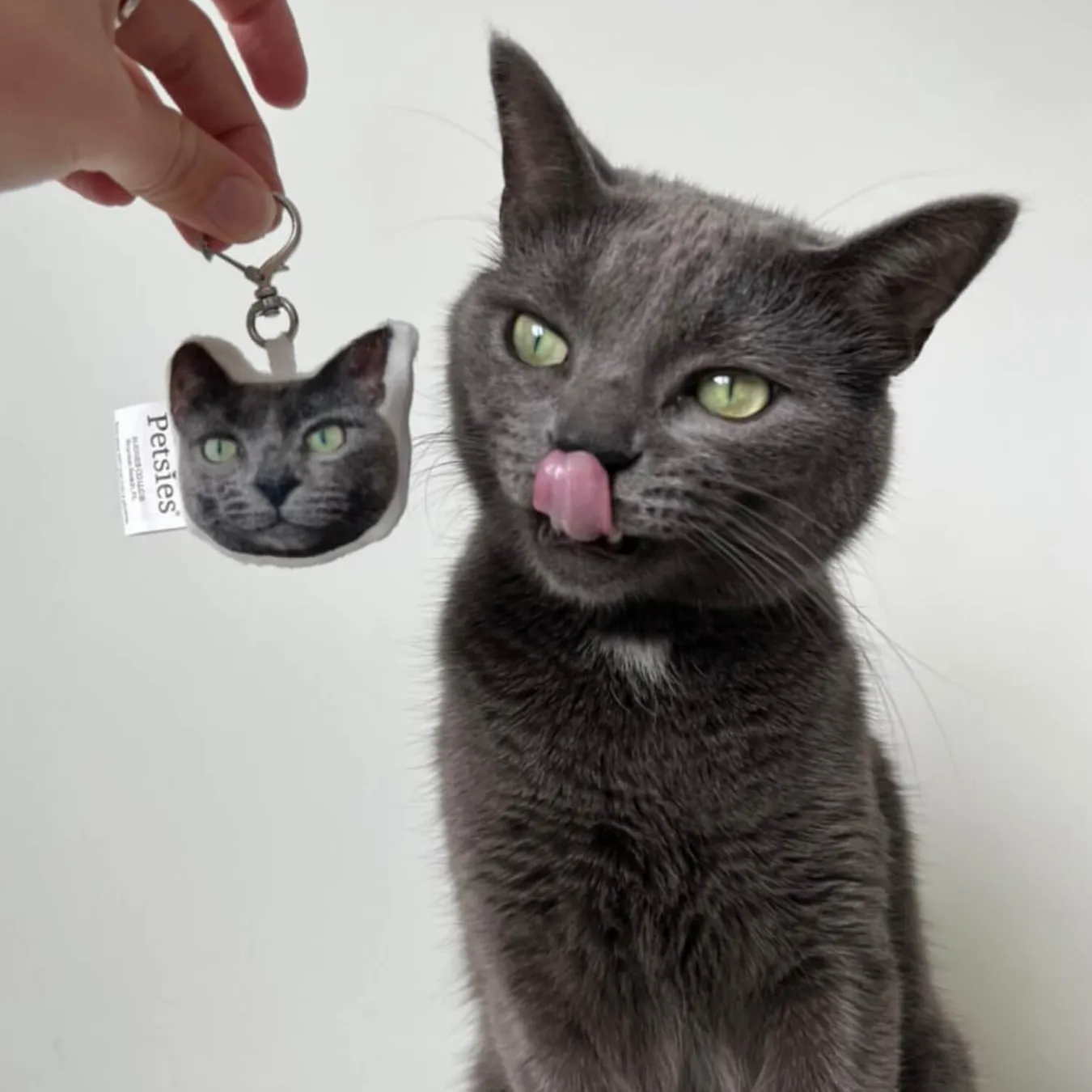 Select to view 'Custom Pet Keychains' image