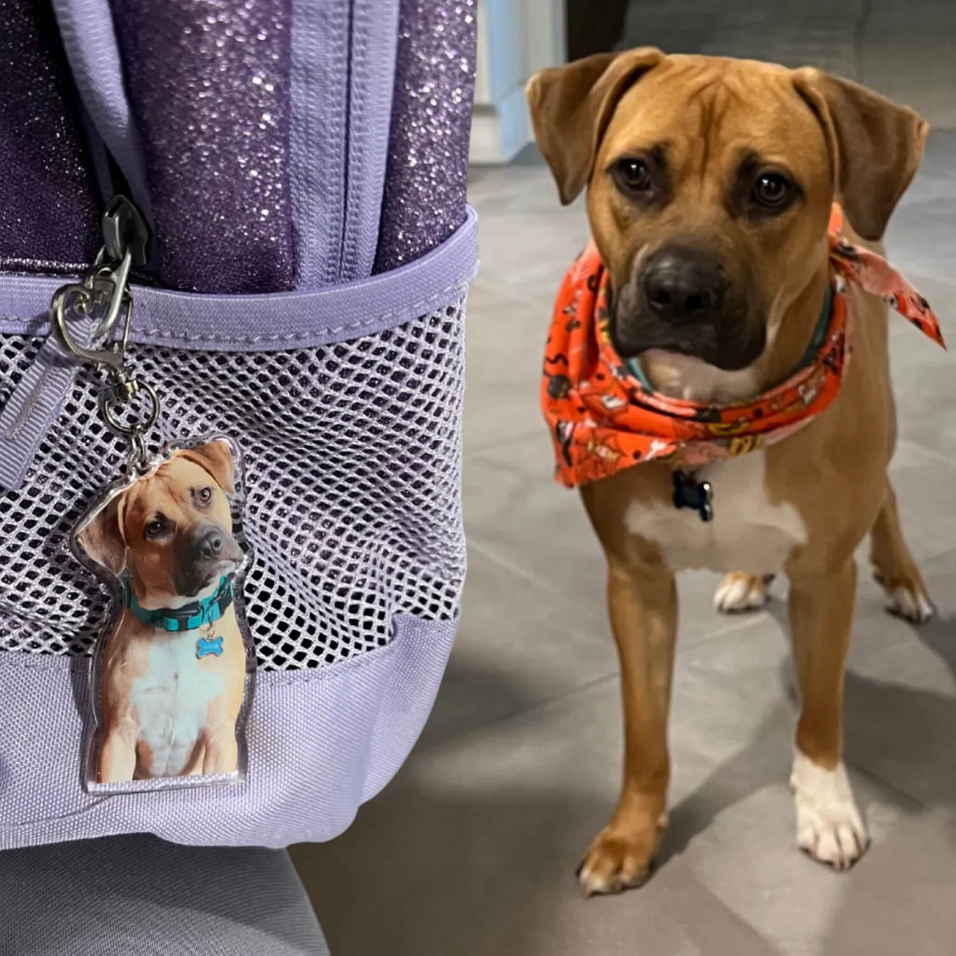Select to view 'Custom Pet Keychains' image