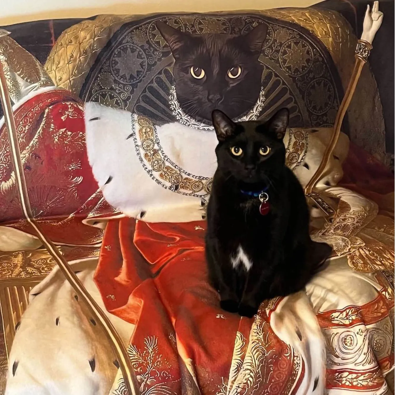 Select to view 'Renaissance Blankets' image