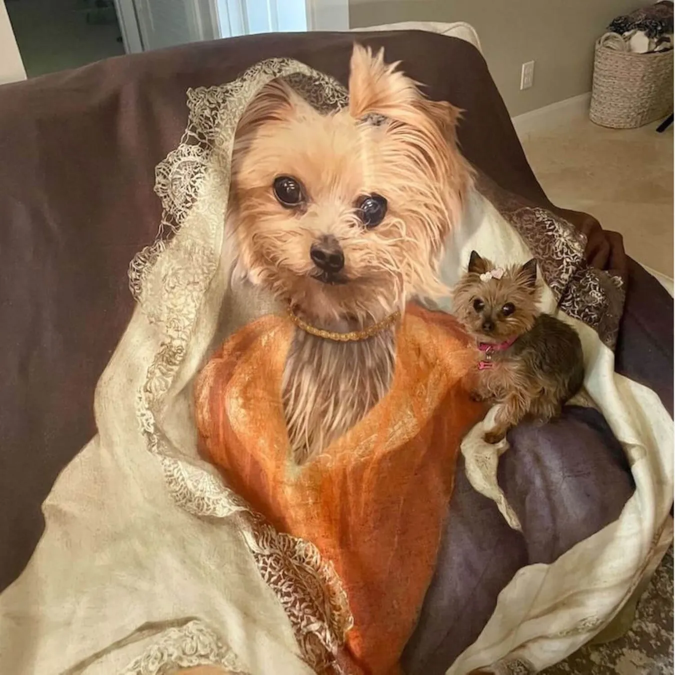 Select to view 'Renaissance Blankets' image