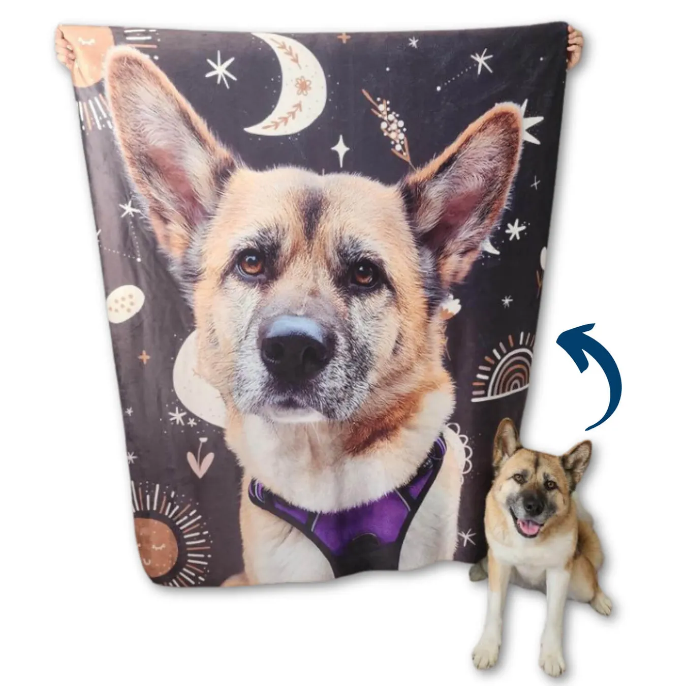 Select to view 'Custom Pet Photo Blankets' image