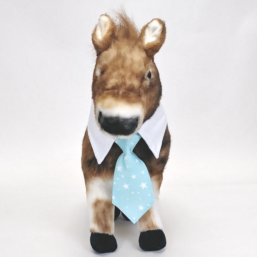 Formal Pet Tie