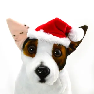 Santa Hat